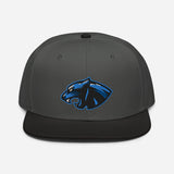 Panthers 2023 Logo Snapback