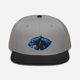 Panthers 2023 Logo Snapback