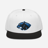 Panthers 2023 Logo Snapback