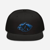 Panthers 2023 Logo Snapback