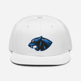 Panthers 2023 Logo Snapback